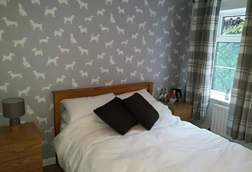 Bed and Breakfast The Dapper Spaniel