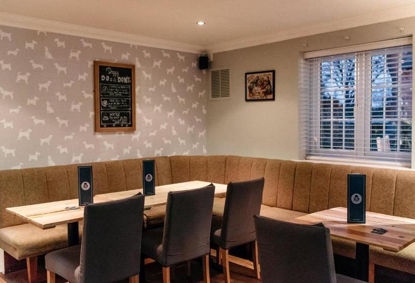 צימר The Dapper Spaniel