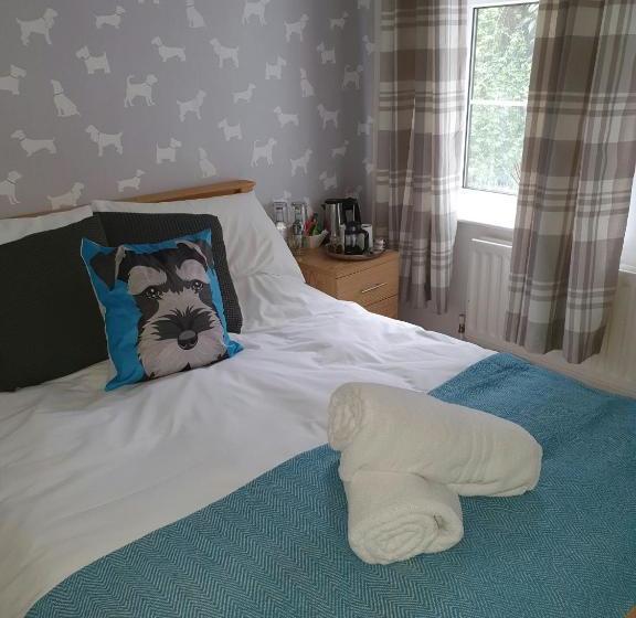 צימר The Dapper Spaniel