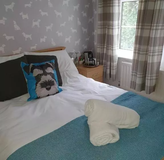 Bed and Breakfast The Dapper Spaniel