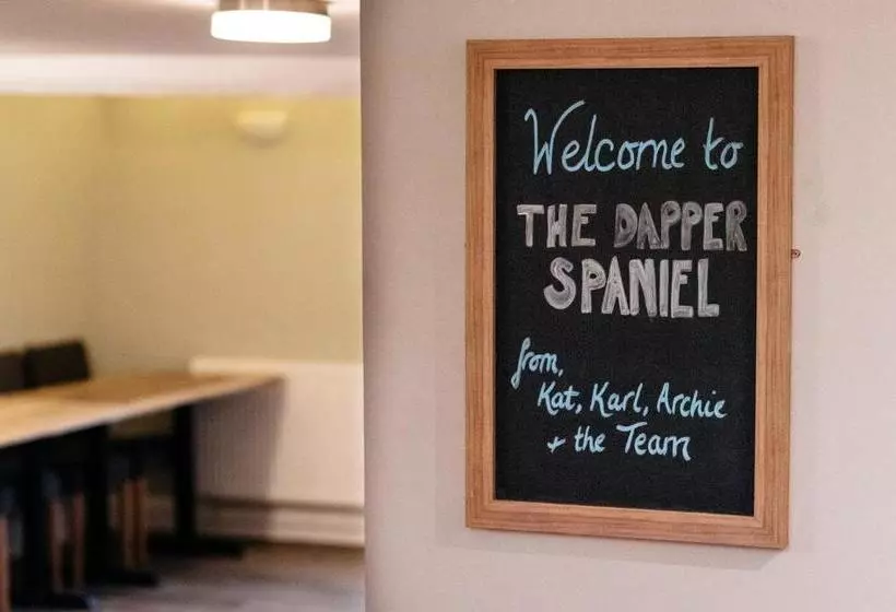 Bed and Breakfast The Dapper Spaniel