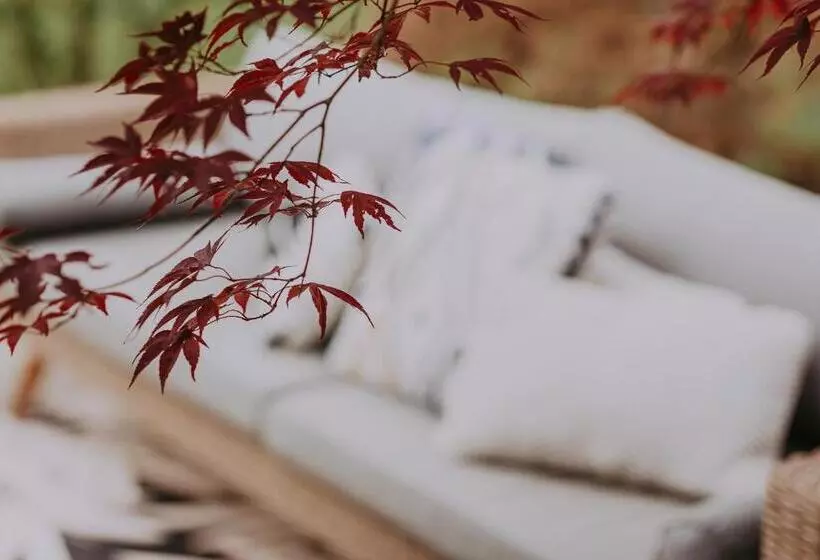 Aamiaismajoitus (B&B) Villa Geva