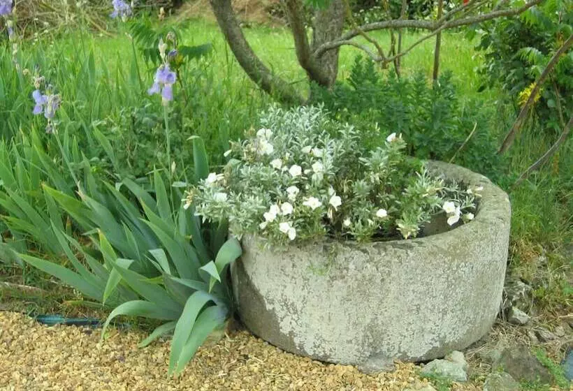 Aamiaismajoitus (B&B) Au Moulin Géant