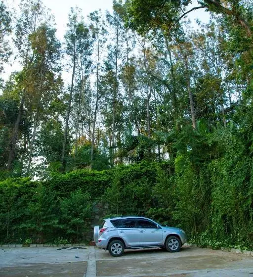 هتل Malkia Trees Lodge