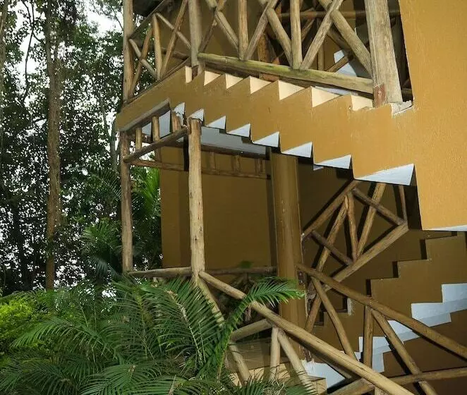 هتل Malkia Trees Lodge