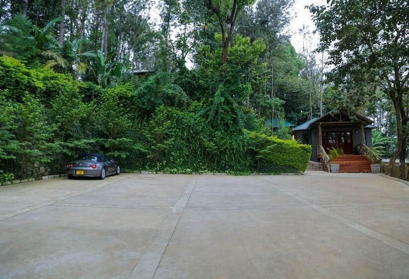 호텔 Malkia Trees Lodge