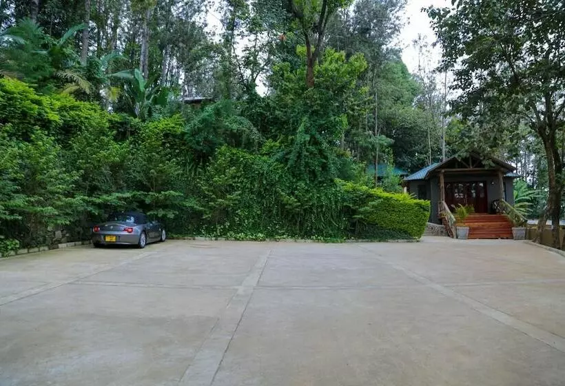 هتل Malkia Trees Lodge