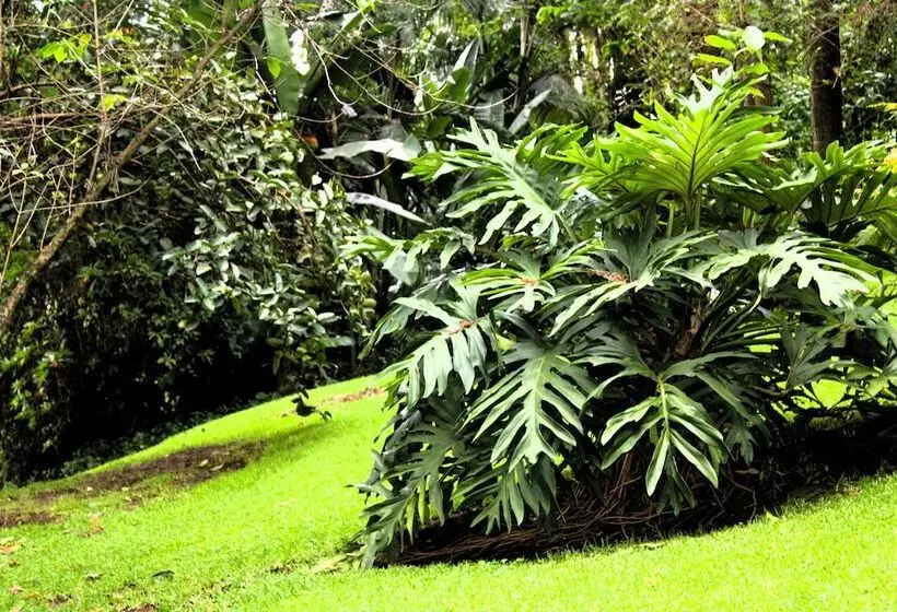 هتل Malkia Trees Lodge