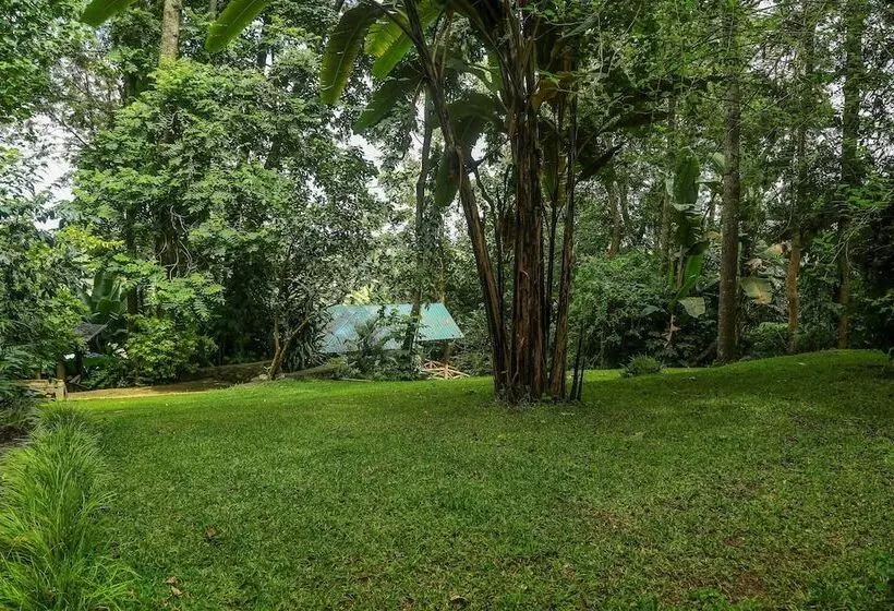 هتل Malkia Trees Lodge