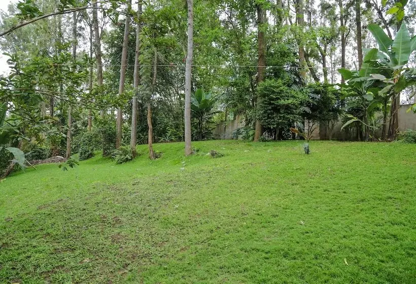 هتل Malkia Trees Lodge