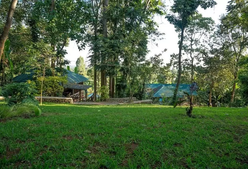 هتل Malkia Trees Lodge