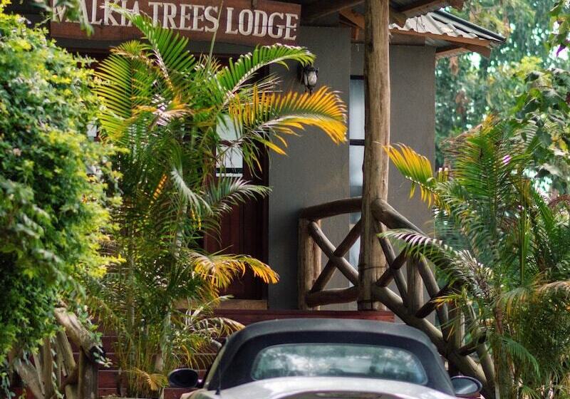 호텔 Malkia Trees Lodge