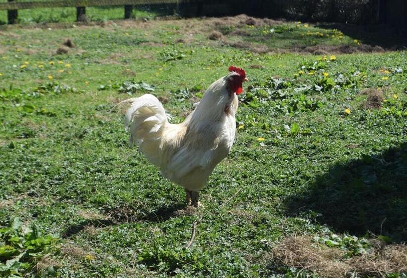 Orchard Grove Bed & Breakfast R21rc58