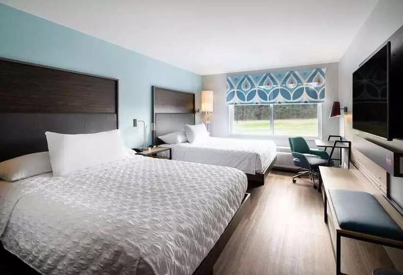 ホテル Tru By Hilton Rock Hill