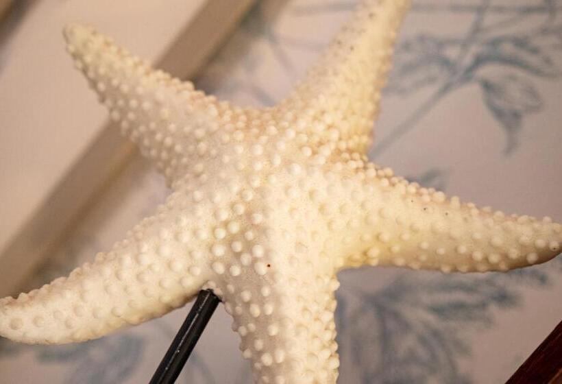 Sol Y Vida, Apartamentos Living Sur