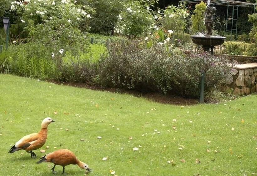 ペンション Highland Rose Country House & Serenity Spa