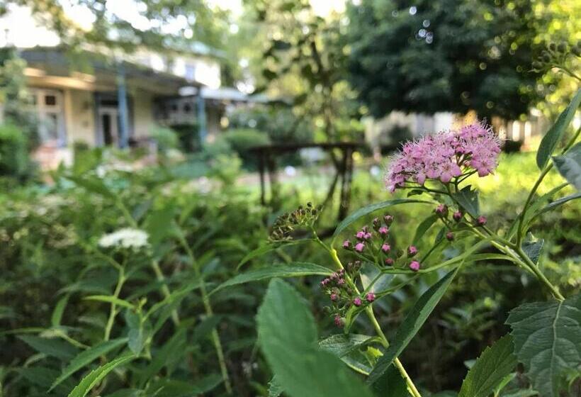 ペンション Highland Rose Country House & Serenity Spa