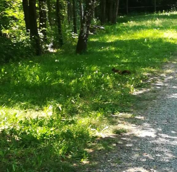 Bed and Breakfast Il Casale Al Lavaggio