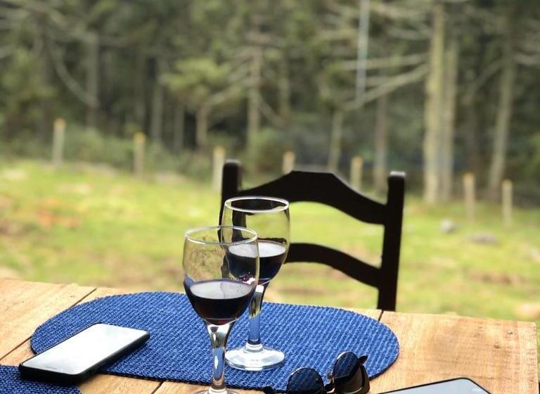 ペンション Pousada Bela Tereza