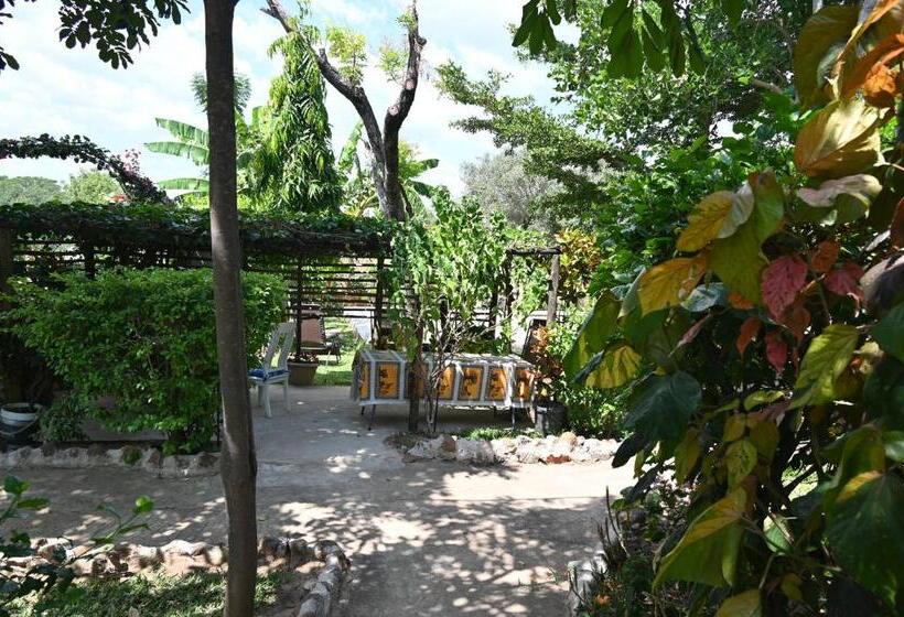 تختخواب و صبحانه Beulah Court Vineyard