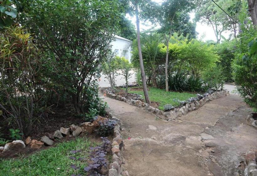 تختخواب و صبحانه Beulah Court Vineyard