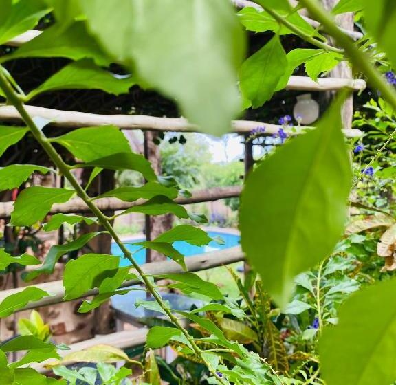 تختخواب و صبحانه Beulah Court Vineyard