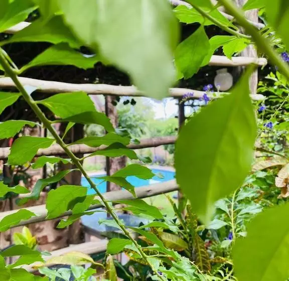 تختخواب و صبحانه Beulah Court Vineyard