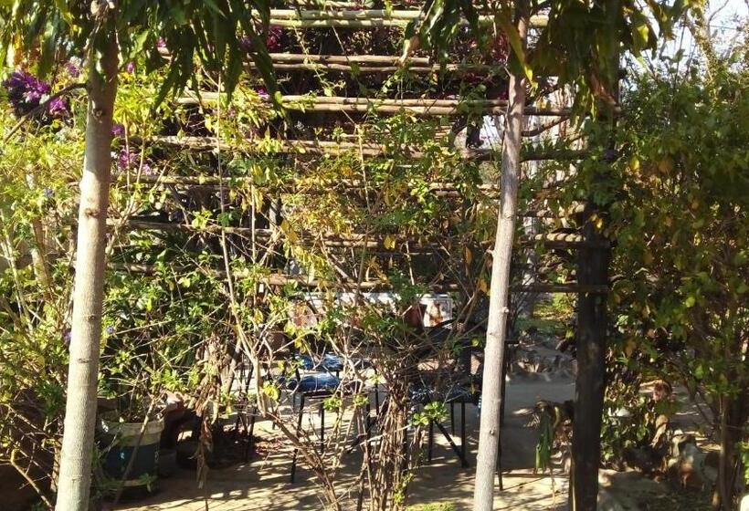 تختخواب و صبحانه Beulah Court Vineyard