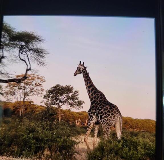 تختخواب و صبحانه Beulah Court Vineyard