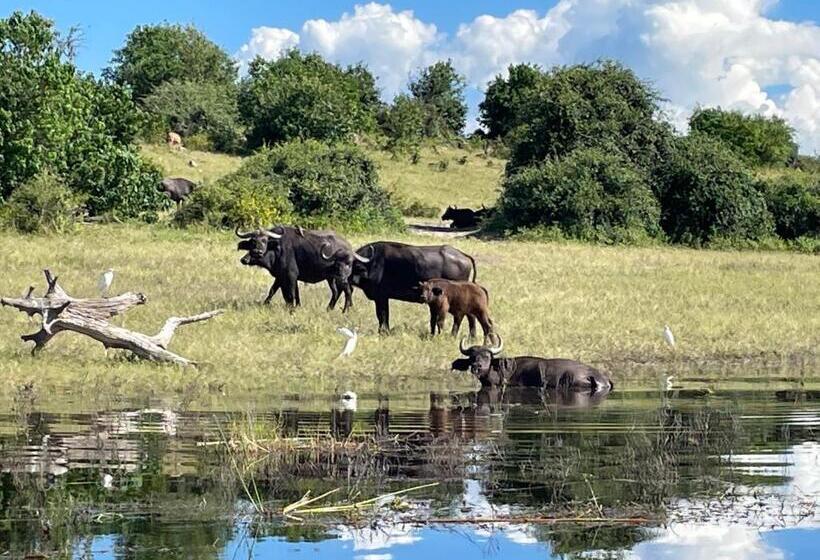 تختخواب و صبحانه Beulah Court Vineyard
