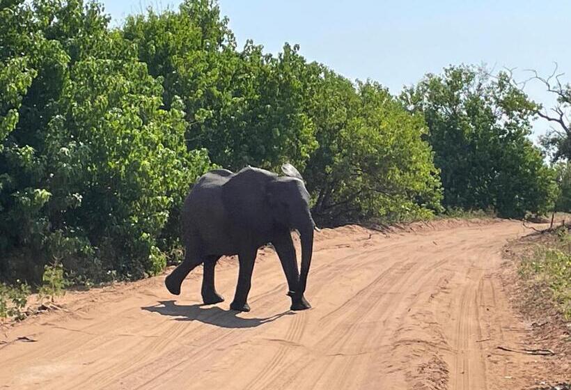 تختخواب و صبحانه Beulah Court Vineyard