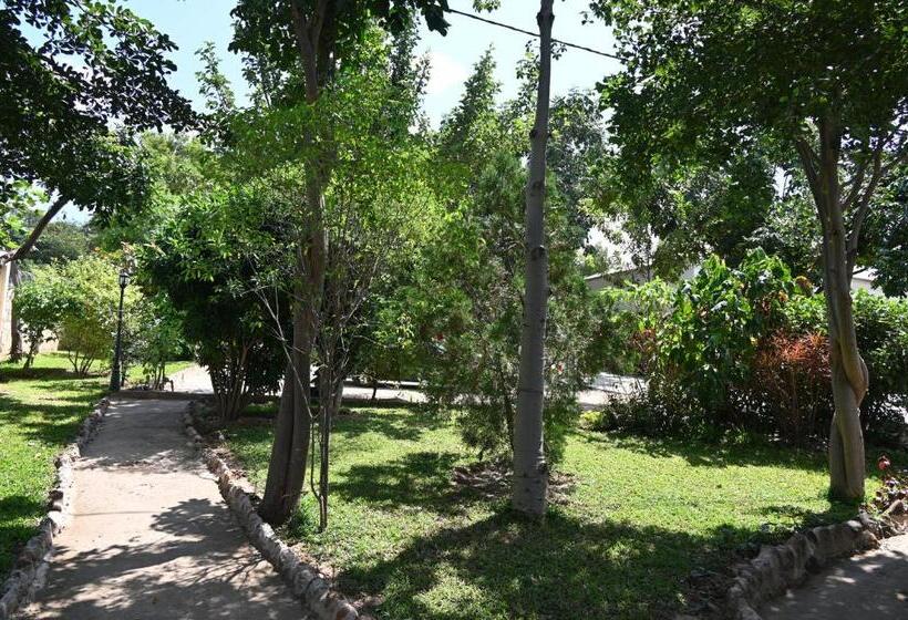 تختخواب و صبحانه Beulah Court Vineyard