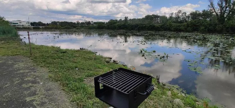 בית מלון כפרי Cedar Cove