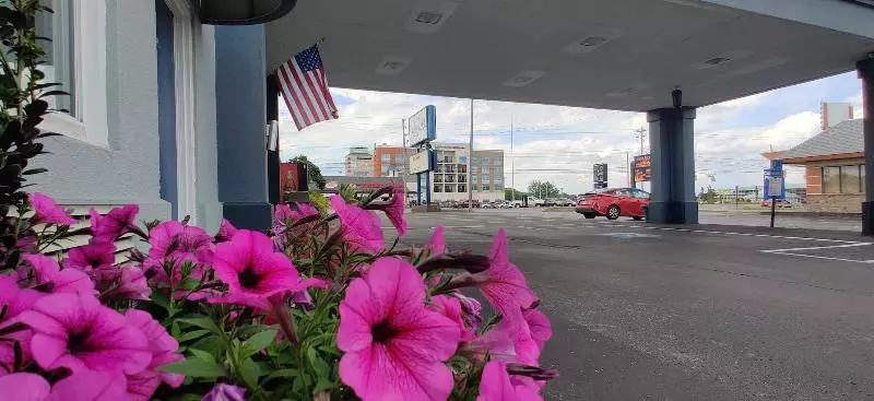 בית מלון כפרי Cedar Cove