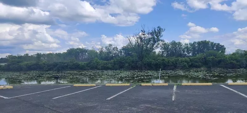 בית מלון כפרי Cedar Cove