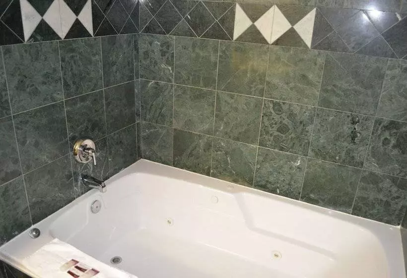 ホテル Comfort Inn Downtown