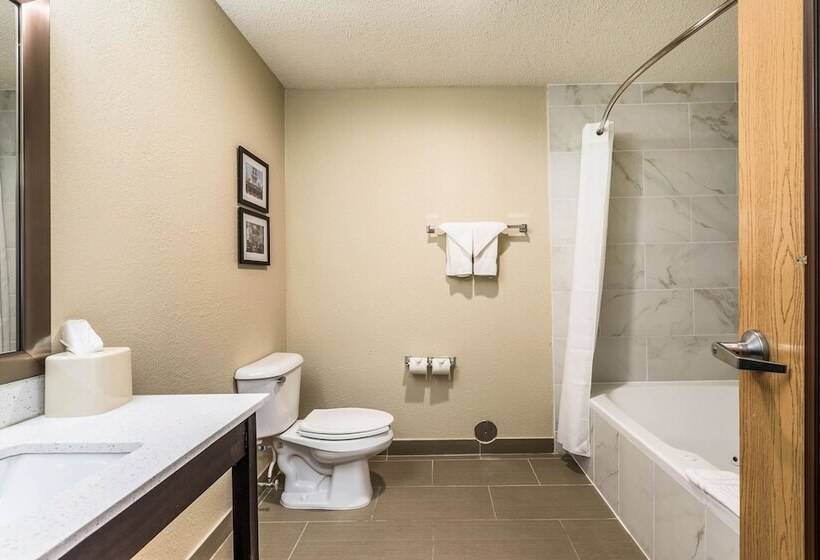 هتل Comfort Inn Downtown