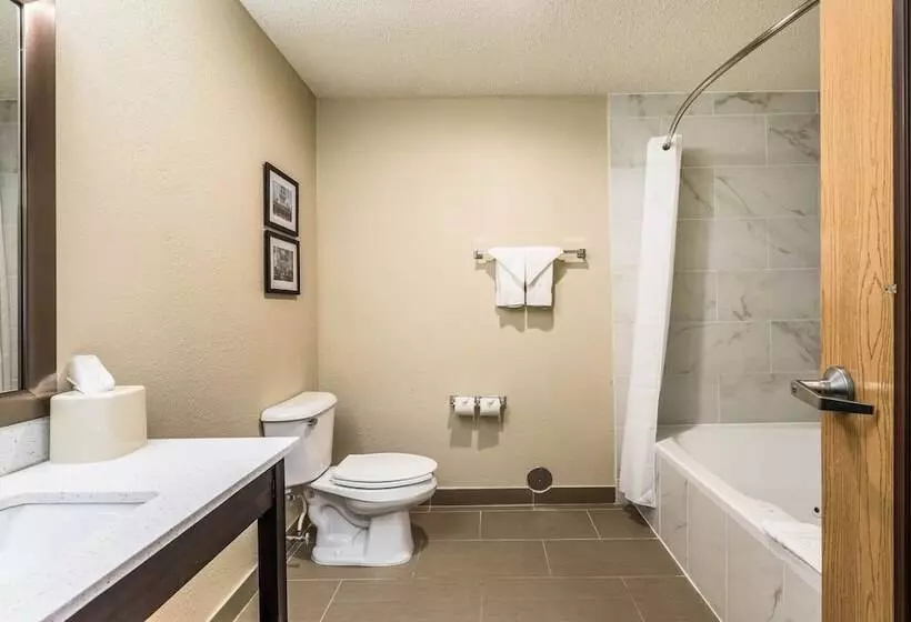 ホテル Comfort Inn Downtown