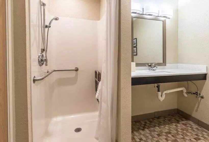 ホテル Comfort Inn Downtown