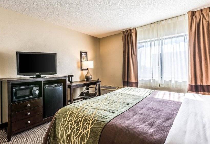 هتل Comfort Inn Downtown