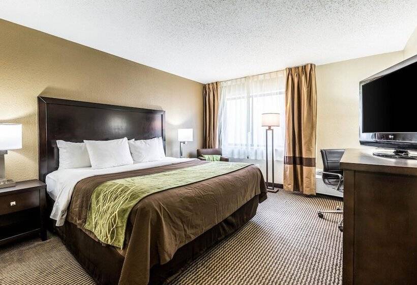 هتل Comfort Inn Downtown