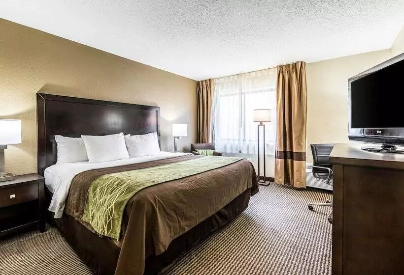 ホテル Comfort Inn Downtown