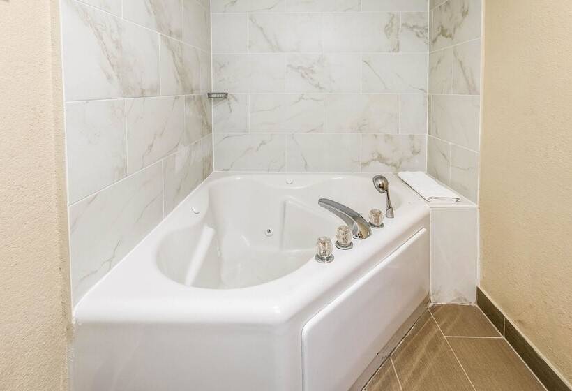 هتل Comfort Inn Downtown