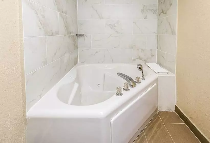 ホテル Comfort Inn Downtown