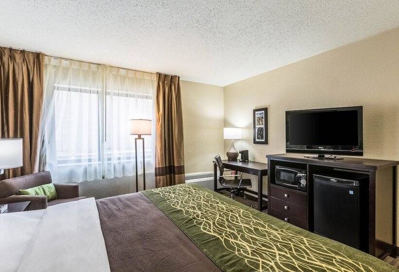 هتل Comfort Inn Downtown