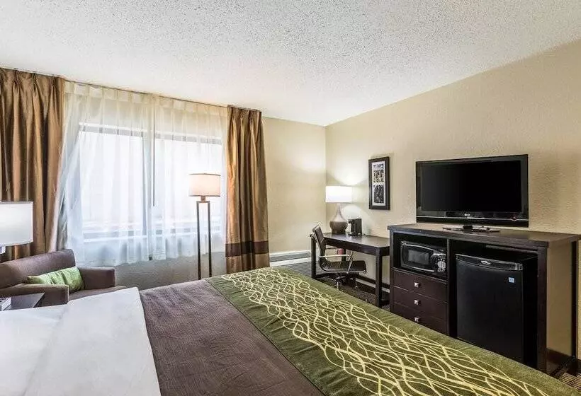 ホテル Comfort Inn Downtown