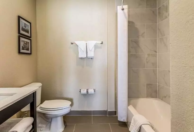 ホテル Comfort Inn Downtown