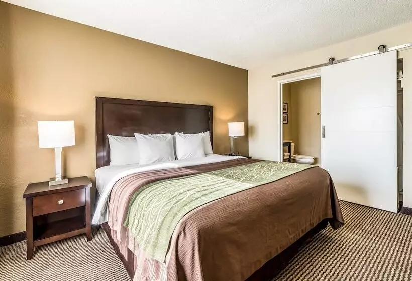 ホテル Comfort Inn Downtown