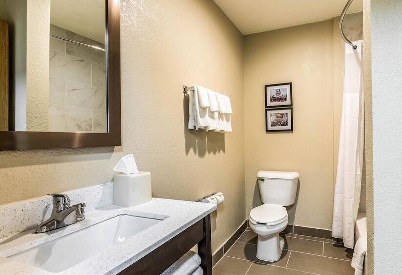 هتل Comfort Inn Downtown