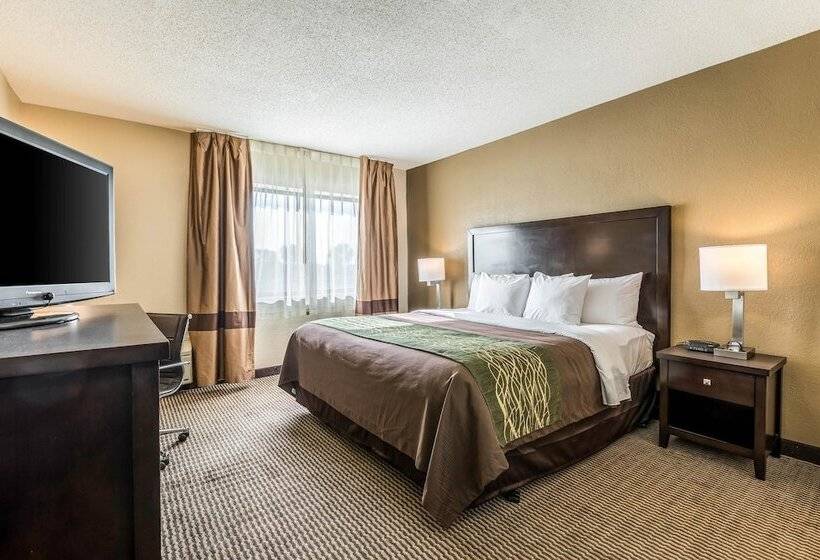 هتل Comfort Inn Downtown